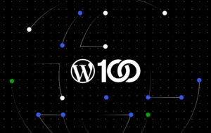 Read more about the article How Net Literacy Secures Its Legacy With WordPress.com’s 100‑Year Plan 